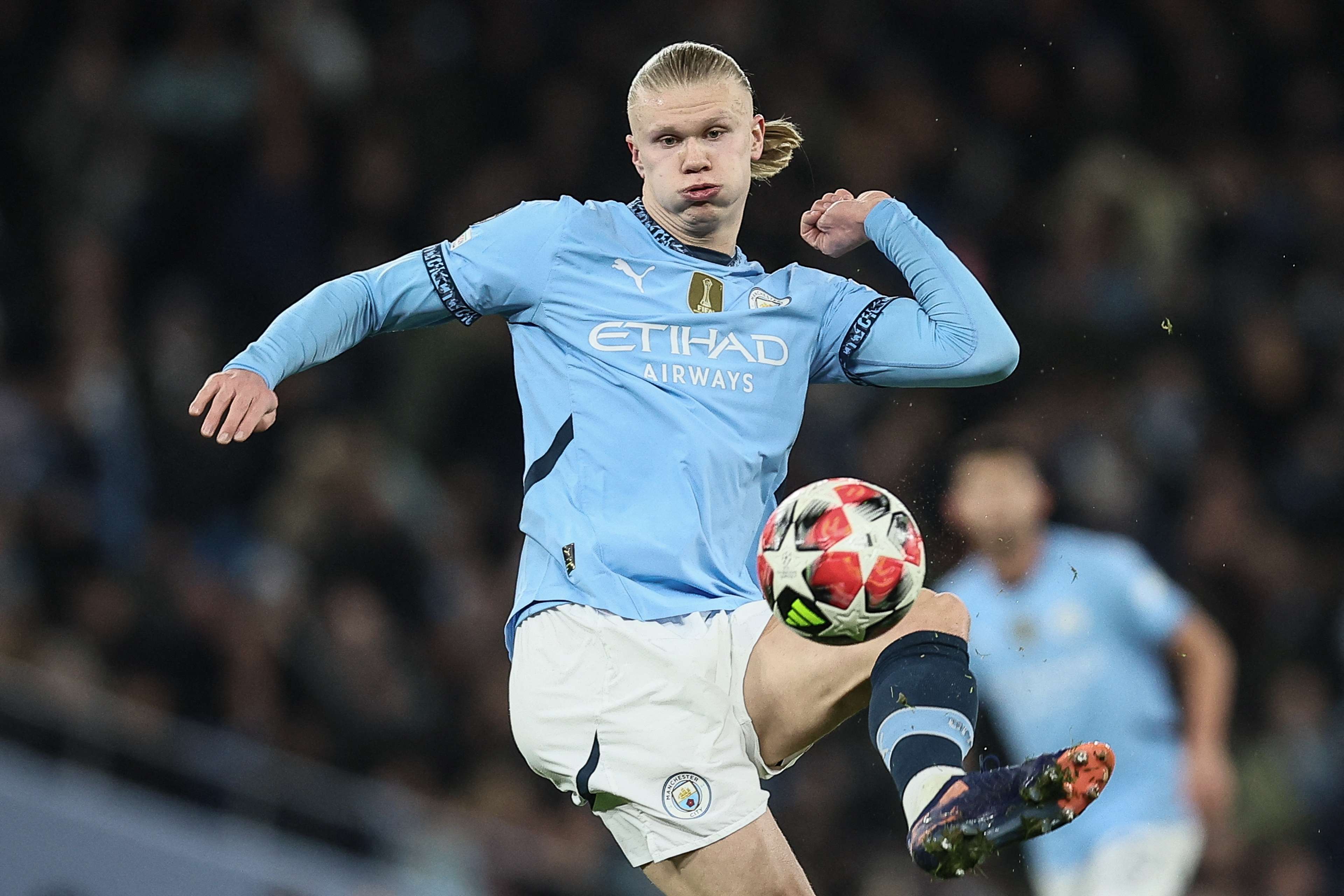 应不同的比 应不同的比