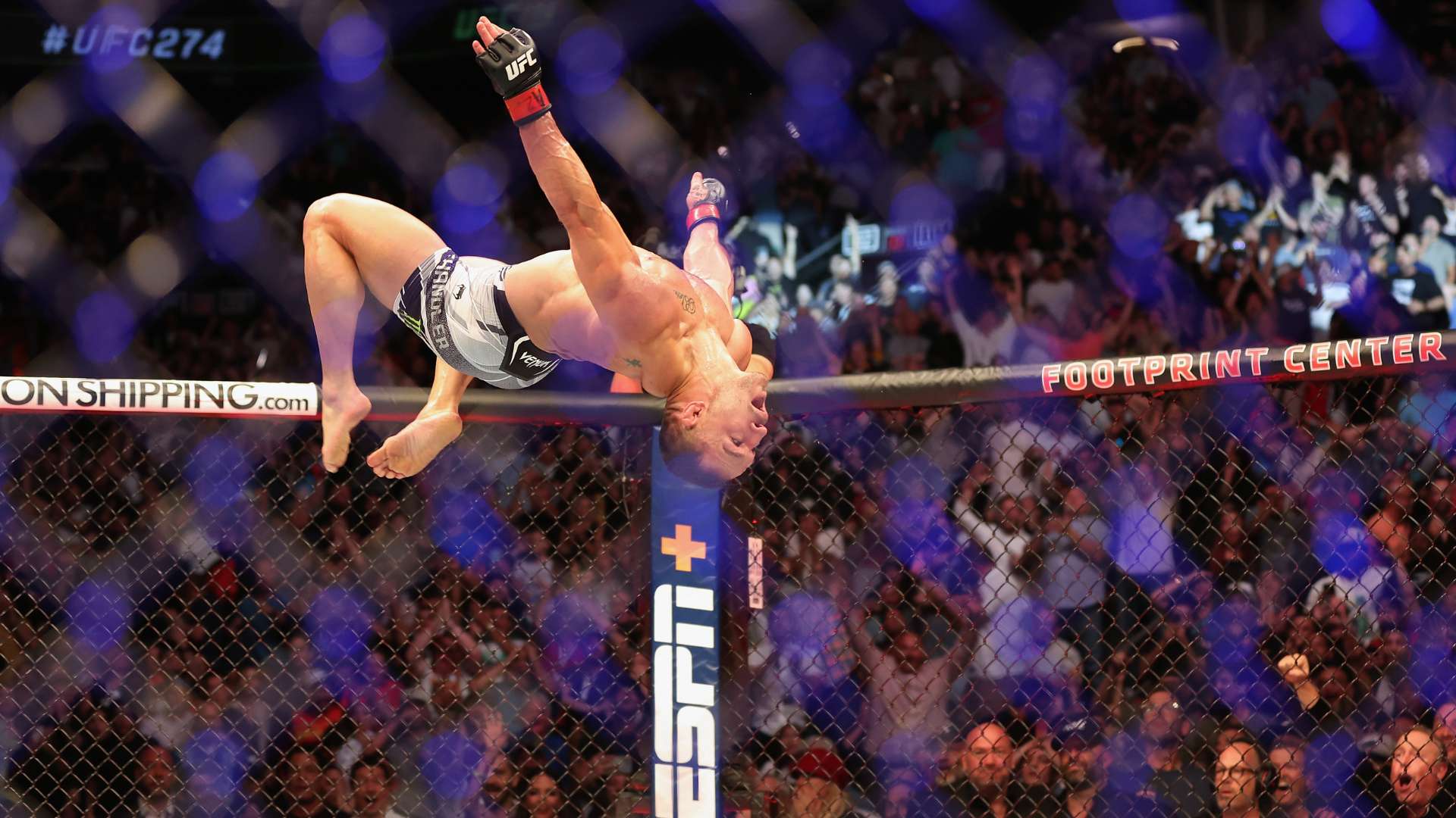 教练团队的 教练团队的