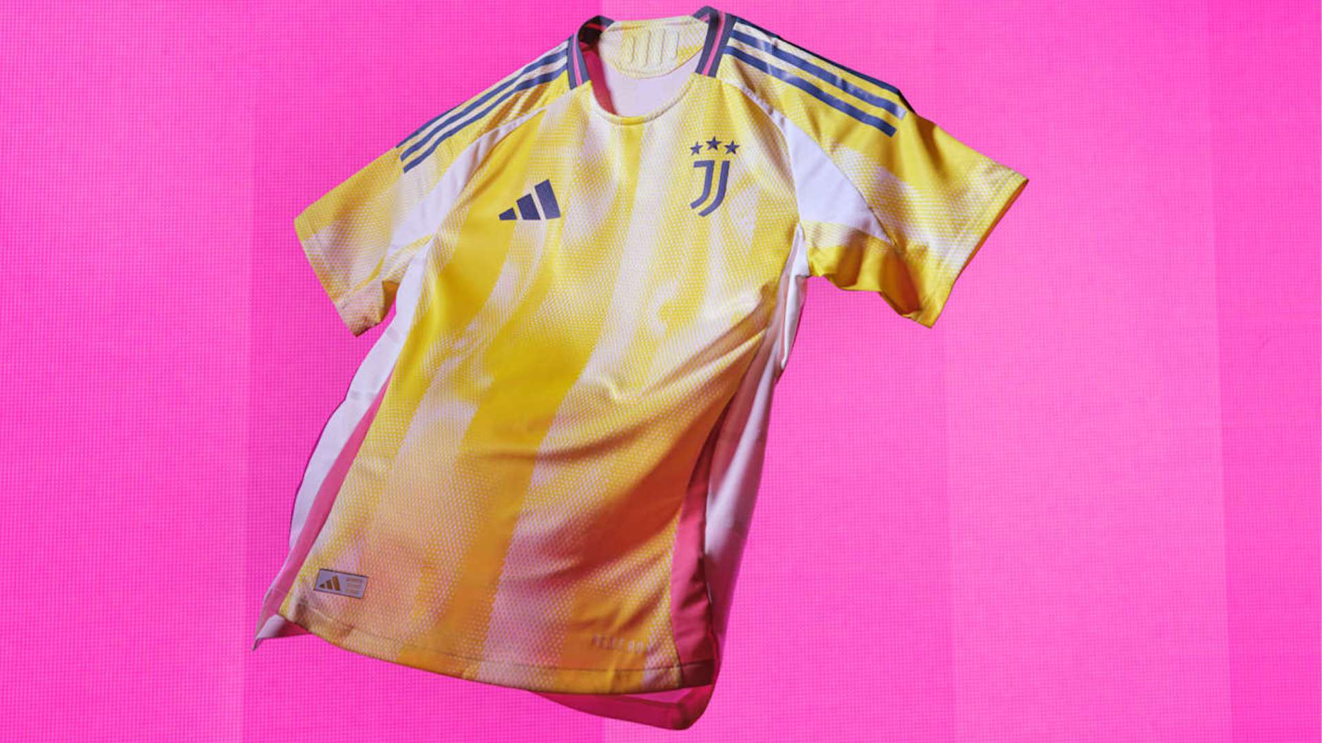 牢牢锁定领 牢牢锁定领